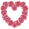 Watercolor carnation floral heart wreath.