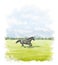 Watercolor cartoon black beauty horse run on green grass meadow