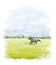 Watercolor cartoon black beauty horse run on green grass meadow