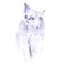 Watercolor cat illustration white fluffy cat with blue eyes on a white background