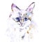 Watercolor cat illustration white fluffy tabby cat with blue eyes on a white background
