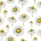 Watercolor chamomile seamless pattern of flowers and leaves isolated on white background.