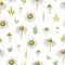 Watercolor chamomile seamless pattern of flowers and leaves on a white background.