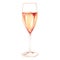 Watercolor champagne sparkling wine glass alcohol isolated