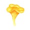 Watercolor Chanterelle Mushroom isolated on white background. Edible mushrooms yellow chanterelle vegetarianism. Golden