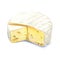 Watercolor cheese brie on a white background