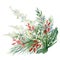 Watercolor Christmas bouquet with fir branches, leaves, wild floral, pampas grass. Winter greenery banner  for christmas card