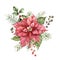 Watercolor Christmas bouquet with poinsettia and holly. Hand painted holiday flower, seeds and berries isolated on white