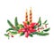 Watercolor Christmas composition with Red poinsettia flower,candle,green pine branches,Holly