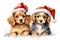 Watercolor Christmas cute couple of puppies on white background