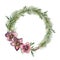 Watercolor Christmas floral wreath with hellebore flowers. Hand painted Christmas tree branch, cedar and hellebore with