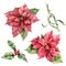 Watercolor Christmas set with poinsettia, holly and mistletoe. Hand painted holiday plant with berries isolated on white