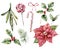 Watercolor Christmas set with poinsettia and mistletoe. Hand painted holiday holly, candy cane and bow isolated on white