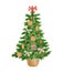 Watercolor Christmas tree decorated with ribbon bows, dry oranges, walnuts and candy canes. Hand drawn evergreen fir