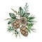 Watercolor christmas winter bouquet arrangement with fir branches, green leaves