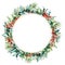 Watercolor Christmas wreath with berries and eucalyptus. Hand painted fir border with barberries, eucalyptus leaves