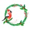 Watercolor Christmas Wreath with Bullfinch,Holly,pine,spruce,leaves,berries on white background.Winter Robin bird with