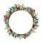 Watercolor Christmas wreath with hellebore flowers. Hand painted Christmas tree branches, cedars with leaves isolated on