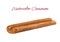 Watercolor cinnamon stick. Hand painted brown cinamon bark strip isolated on white background. Plant element for