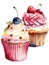 watercolor clip art high detailed cupcakes pink and vanilla, with strawberry and blueberry on white background