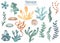 Watercolor clipart with algae, underwater plants, corals, shells, stones