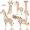 Watercolor clipart with cute cartoon giraffes, family, mom and baby, giraffe head.