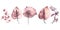 Watercolor clipart flowers anthuriums. Tropical flowers. Jungle plants style .