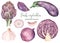 Watercolor clipart with purple vegetables