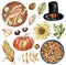 Watercolor clipart of Thanksgiving Day elements baked turkey, hat, nuts, sunflower, pumpkin, autumn leaves.