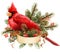Watercolor cliparts. Christmas and winter red bird cardinals.