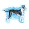 Watercolor closeup portrait of cute Great Dane breed dog isolated on blue background. Shorthair smooth large guardian dog posing
