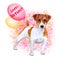 Watercolor closeup portrait of cute Jack russel terrier breed puppy isolated on abstract background. Puppy holding balloons. Hand