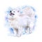 Watercolor closeup portrait of cute Samoyed breed dog isolated on blue background. Longhair fluffy white herdig dog. Hand drawn