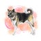 Watercolor closeup portrait of large American Akita breed dog isolated on pink background. Large longhair working dog in Japanese