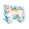 Watercolor closeup portrait of rare golden Husky dog isolated on blue background. dog posing at dog show. Hand drawn sweet home