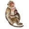 Watercolor closeup portrait of Rhesus macaque or Macaca mulatta with baby isolated on white background. Hand drawn cute monkeys,