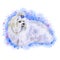 Watercolor closeup portrait of small Maltese breed dog isolated on abstract background. Small longhair Italian origin toy dog.