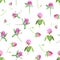 Watercolor clover isolated on white. Gentle seamless pattern with blooming pink clover. Cute botanical wallpaper in