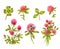 Watercolor clover set. Beautiful spring floral elements