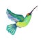 Watercolor colibri bird clipart