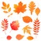 Watercolor collection of beautiful orange autumn leaves