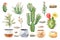 Watercolor collection cactus cacti and succulents in pots.