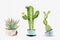 Watercolor collection cactus cacti and succulents in pots.