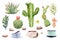 Watercolor collection cactus cacti and succulents in pots. Elements layer path