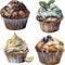 Watercolor collection of glazed cupcakes with toppings, on white background