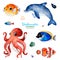 Watercolor collection with multicolored coral fishes.shells,dolphin,octopus