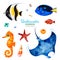 Watercolor collection with multicolored coral fishes.shells,seahorse,starfish