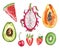 Watercolor collection of painted summer fruits- dragon fruit, papaya, avocado, watermelon slice, strawberry, kiwi fruit, cherry,