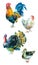 Watercolor collection of poultry.