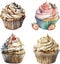 Watercolor collection of sweet cream cupcakes with berries, isolated on white background.